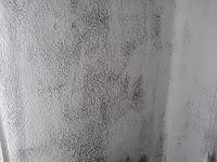 HUMEDADES I: CONSECUENCIAS DE LA INADECUADA VENTILACIÓN EN LA VIVIENDA. HUMEDADES I: CONSECUENCIAS DE LA INADECUADA VENTILACIÓN EN LA VIVIENDA.
