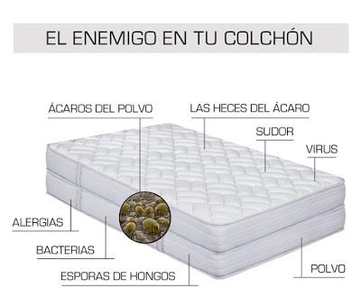 EL ÁCARO, EL GRAN ENEMIGO DE TU COLCHÓN EL ÁCARO, EL GRAN ENEMIGO DE TU COLCHÓN