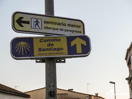 La mística del Camino de Santiago 12-62