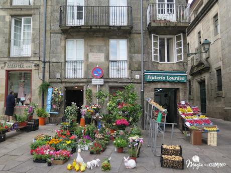La mística del Camino de Santiago 12-7-2