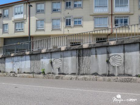 La mística del Camino de Santiago 12-63