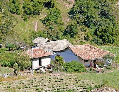 Migración hacia el mundo rural Migración hacia el mundo rural