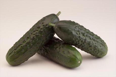 Pepino español: Vitaminas, minerales y fibra para adelgazar pepino21 Pepino español: Vitaminas, minerales y fibra para adelgazar
