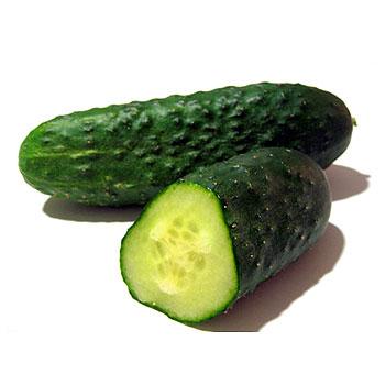 Pepino español: Vitaminas, minerales y fibra para adelgazar pepino 1 Pepino español: Vitaminas, minerales y fibra para adelgazar