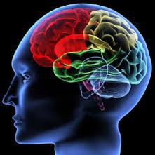 Neuromarketing. Qué es y para qué sirve Neuromarketing. Qué es y para qué sirve