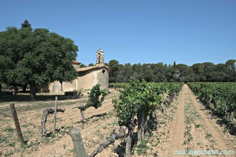 Lugares con encanto Domini Vinicola Can Bas Penedés Enoturismo Enoturisme Slow wine Fujifilm X-E1