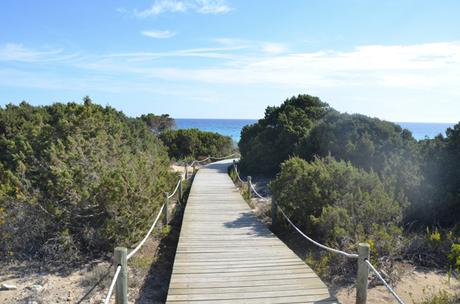 En busca del silencio: las 10 playas más tranquilas de Ibiza y Formentera playa del mitgorn