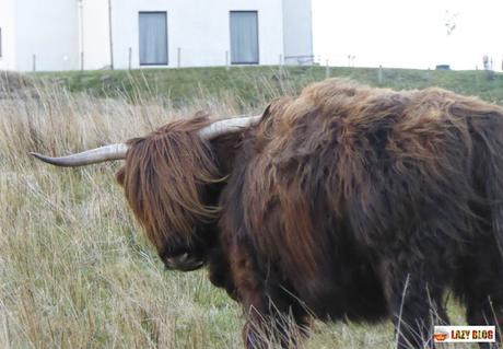 Guía completa de viaje a Escocia (I) Cómo planificar un viaje a Escocia