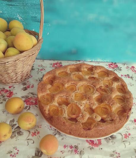MARILLENKUCHEN PASTEL AUSTRIACO DE ALBARICOQUES MARILLENKUCHEN PASTEL AUSTRIACO DE ALBARICOQUES