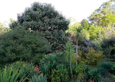 El jardín de La Saleta en Primavera y Verano, del 1 al 30 de junio de 2015. Saleta's Garden in spring and summer, June 1-30, 2015.