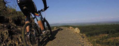 ¿Cuál es la bicicleta adecuada para empezar? (I) ¿Cuál es la bicicleta adecuada para empezar? (I)