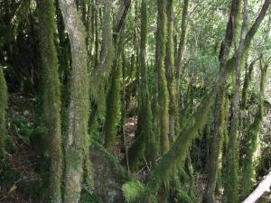 INSTANTÁNEAS AL NATURAL. JUNIO 2015. AÑISCLO INSTANTÁNEAS AL NATURAL. JUNIO 2015. AÑISCLO