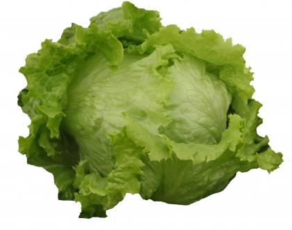 Desayunar o no Desayunar, esa es la cuestión. Propiedades y maravillas de la lechuga