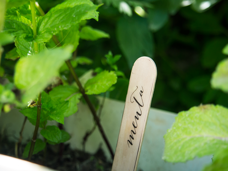 Marcadores de plantas aromáticas para elretopintrest marcadores-para-plantas-diy