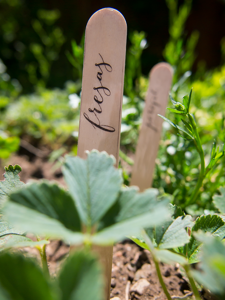 Marcadores de plantas aromáticas para elretopintrest marcadores-para-plantas-diy