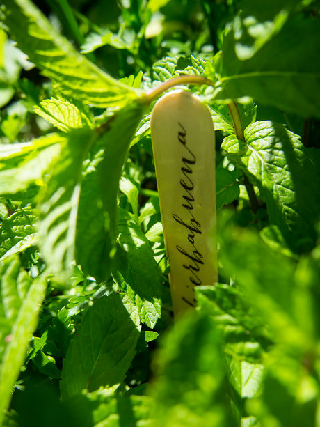 Marcadores de plantas aromáticas para elretopintrest marcadores-para-plantas-diy
