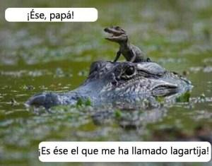 Lagarto, lagarto… Lagarto, lagarto…