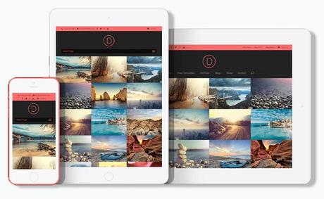 Elegant Themes DIVI Elegant Themes DIVI