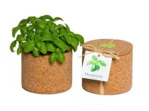 Kit life in a Bag, albahaca Kit life in a Bag