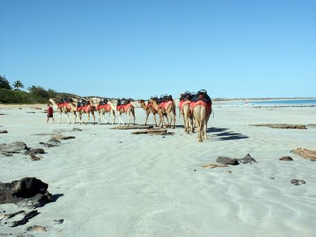 Recorriendo la costa australiana