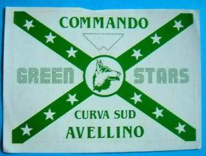 Curva Sud Avellino, Ultras Avellino $_35