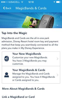 Walt Disney World Resort MagicBand