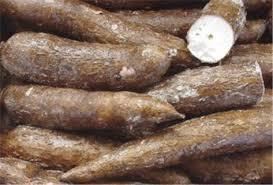 Aspectos interesantes al soñar con yuca. sueño con yuca