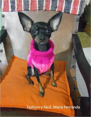 Sweater para perro, vestidos tejidos para mascotas (A sweater for a dog crocheted o knitting)