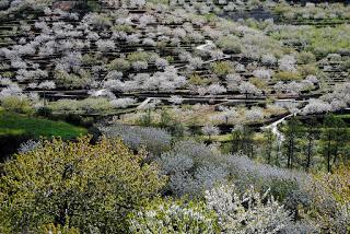 El Valle del Jerte entre las 10 mejores zonas de naturaleza de España
