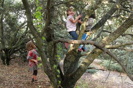 Vivir la naturaleza con los niños Vivir la naturaleza con los niños