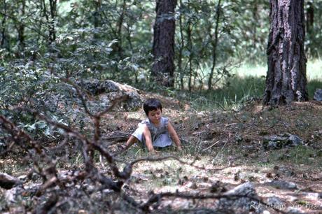 Vivir la naturaleza con los niños Vivir la naturaleza con los niños