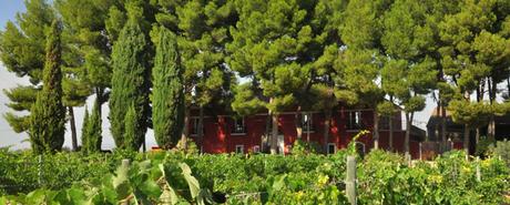El enoturismo según Dominio de la Vega DSC_3917_620x250
