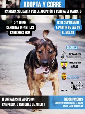 adopta y corre