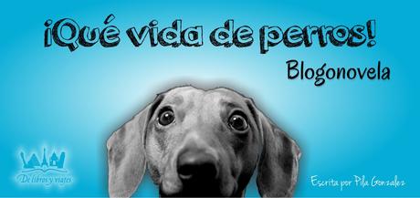 ¡Qué vida de perros! | Episodio 3° ¡Qué vida de perros! | Episodio 3°