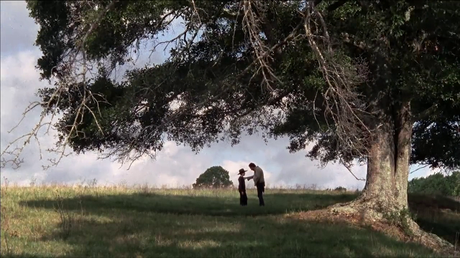 The Walking Dead - Temporada 2 The Walking Dead - Temporada 2