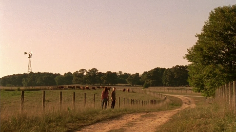 The Walking Dead - Temporada 2 The Walking Dead - Temporada 2