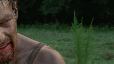 The Walking Dead - Temporada 2 The Walking Dead - Temporada 2