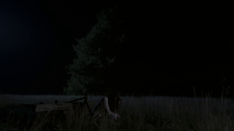 The Walking Dead - Temporada 2 The Walking Dead - Temporada 2