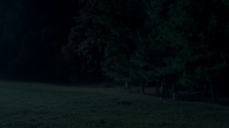The Walking Dead - Temporada 2 The Walking Dead - Temporada 2