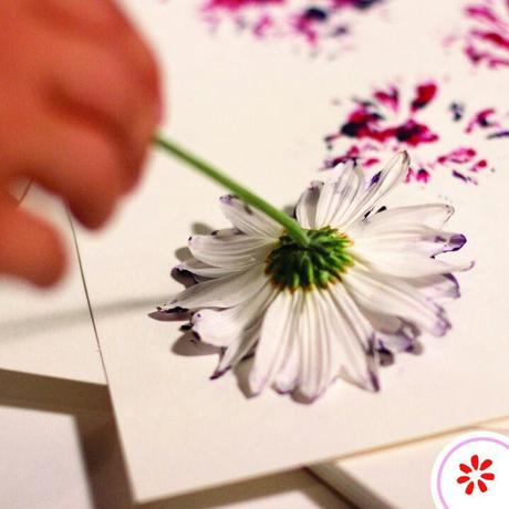 Retratos y dibujos con plantas Retratos y dibujos con plantas