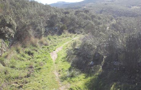 Senda del Duero: Pinilla-Fermoselle Sendero de la etapa 31 de la Senda del Duero entre Pinilla de Fermoselle y Fermoselle