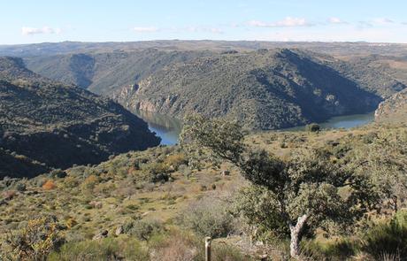 Senda del Duero: Pinilla-Fermoselle Vista del Duero desde los miradores de Fermoselle
