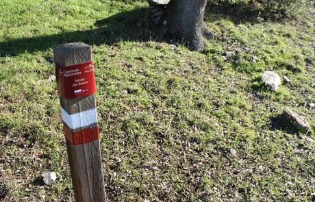 Senda del Duero: Pinilla-Fermoselle Marca de la Etapa 31 de la Senda del Duero de Pinilla de Fermoselle a Fermoselle