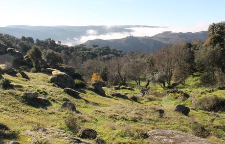 Senda del Duero: Pinilla-Fermoselle Alrededores de Pinilla de Fermoselle