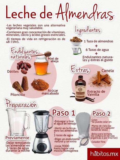Como hacer leches Vegetales Como hacer leches Vegetales