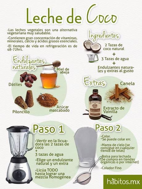 Como hacer leches Vegetales Como hacer leches Vegetales