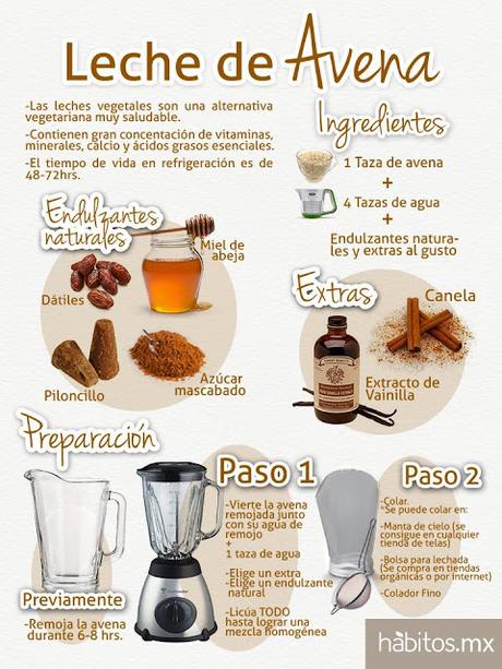 Como hacer leches Vegetales Como hacer leches Vegetales