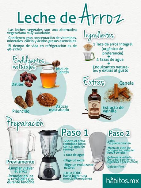 Como hacer leches Vegetales Como hacer leches Vegetales
