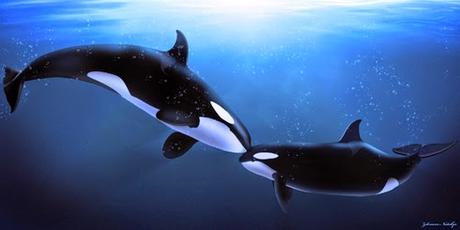 La ballena mentora La ballena mentora