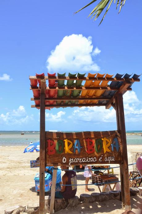 Playas de Pernambuco: Praia dos Carneiros y Porto das Galinhas